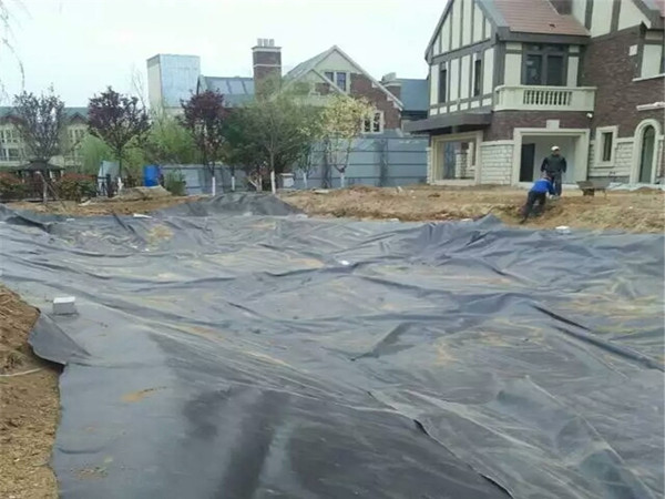 水产养殖专用防渗膜多少钱一平方图片第1张-盈旭土工材料