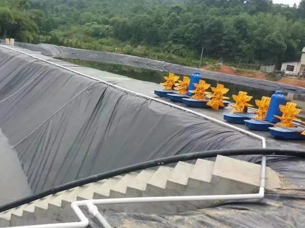 鱼塘土工膜图片第1张 鱼塘土工膜图片第1张-盈旭土工材料