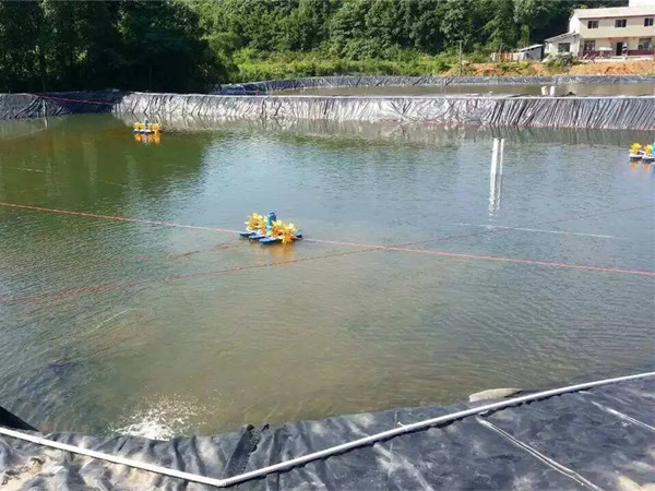 鱼塘土工膜图片第2张 鱼塘土工膜图片第2张-盈旭土工材料