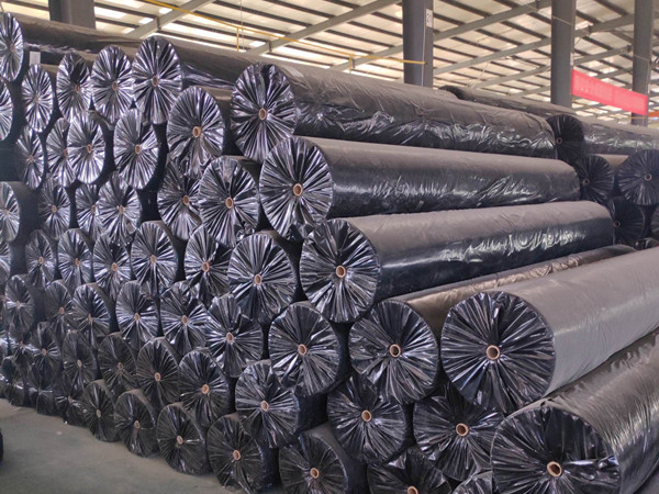 hdpe土工膜图片第5张-盈旭土工材料